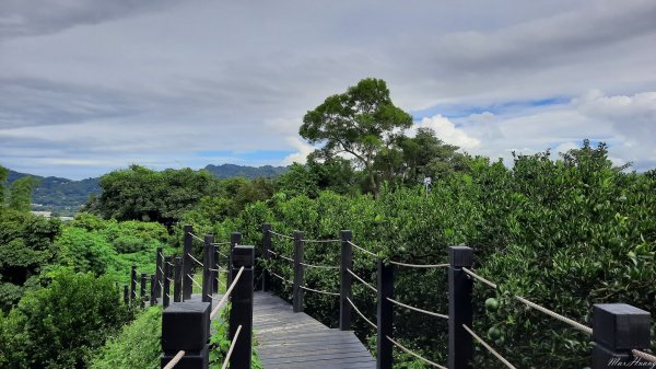 《台中》挑過山水｜石岡挑物古道O繞202309102277383