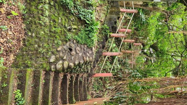 鵲子山，廻音谷瀑布，猴洞坑瀑布，望龍埤步道，飛龍步道，蘇澳砲台山2490696