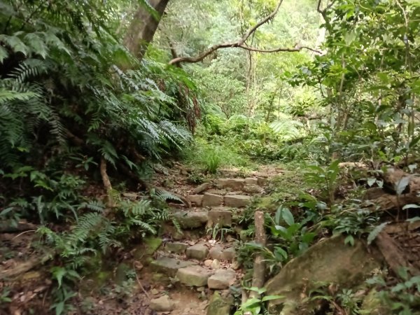 汐止區夢湖保線路+單車夢湖路O型2894142