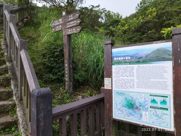 冷水坑,七星山東峰.主峰.小油坑..2236593