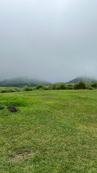 230701 擎天崗環形步道 🐂2201280