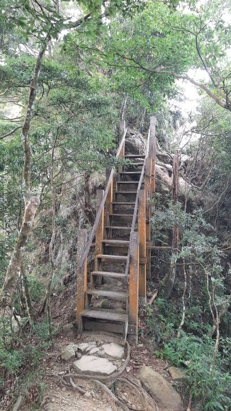 《新竹》斷崖神木｜北得拉曼步道小P繞202510172917591