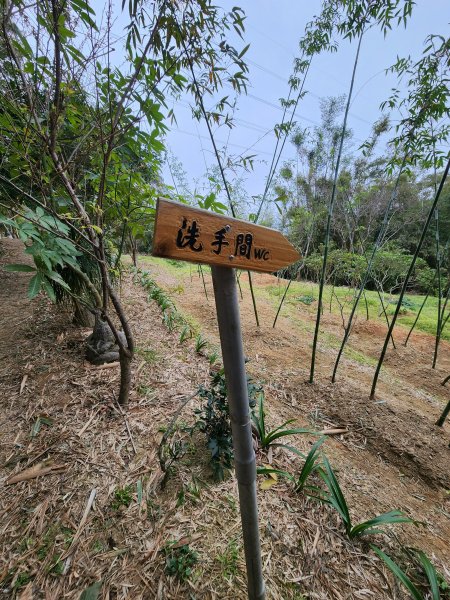 112/2/23龍鳳連稜2148209