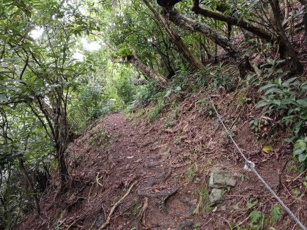 頭城鎮石城車站+隆嶺越嶺古道+隆嶺溪畔古道+福隆車站3002266