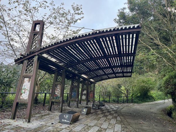 [嘉遊好步道．來嘉走走-04/10] 2024_1011 阿里山頂湖步道2624730