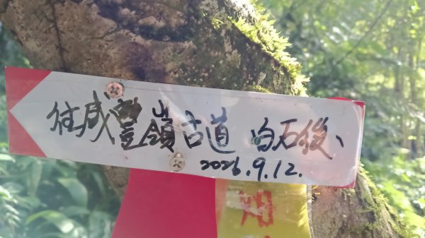 平溪區東勢格古道-咸豐嶺烽火台-峭壁雄峰-三抱竹鞍-白石後仙洞-東勢格古道P字走3126885