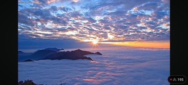 阿里山 #隙頂二延平 #頂石棹 #觀音圈 #雲海 #琉璃光 #雲瀑 #霧虹 11/172668187