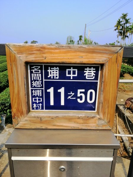 趣味撿小百岳。編號51小百岳 松柏坑山752963