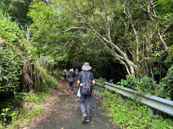1140618鳴鳳古道｜錫隘-雲洞宮2815354