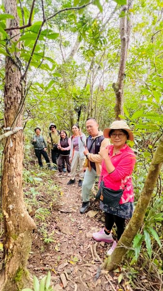 台東三小百岳 Day 1：巴塱衛山#96 加奈美山#95 太麻里山#943006140