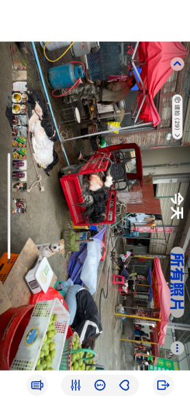 西藏♥️可愛動物🐎人物寫真/拉薩旅拍/美食2903325