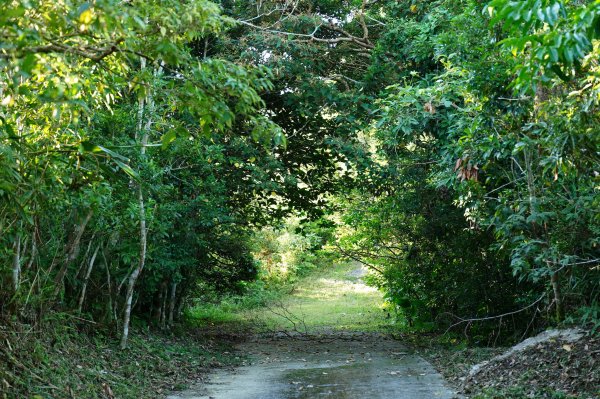 宜蘭 南澳 御恩山2892654