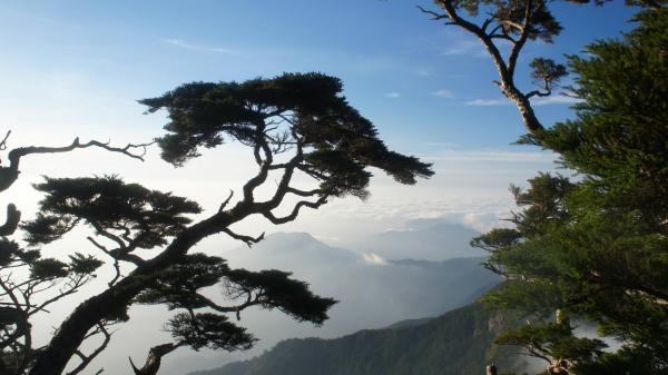 南台之霸~北大武山45869