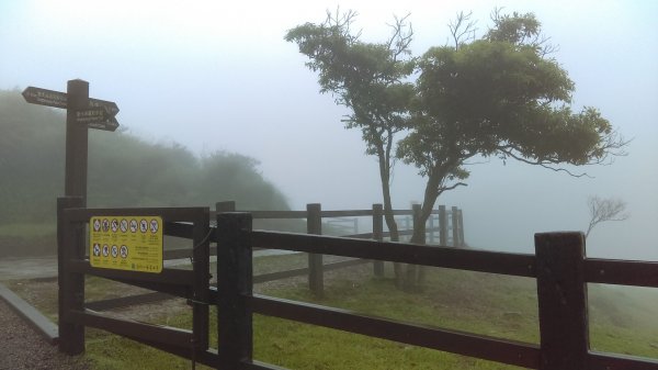 【臺北大縱走3】擎天崗、冷擎步道、冷水坑894496