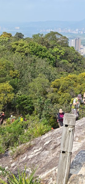 2026-0412 奇岩山_唭哩岸山_丹鳳山_軍艦岩3034877