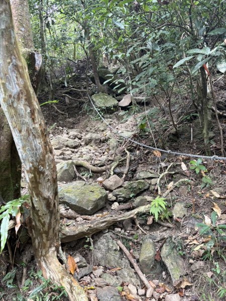 20251108白雲山步道2935188