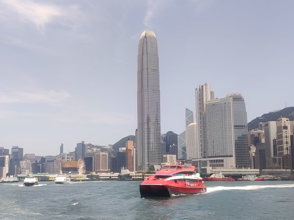 香港長洲鳥2504629
