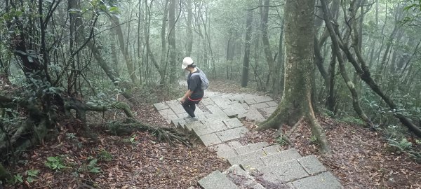 20240921_東眼山步道2637172