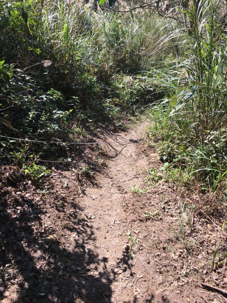 20210116-關刀山1238212