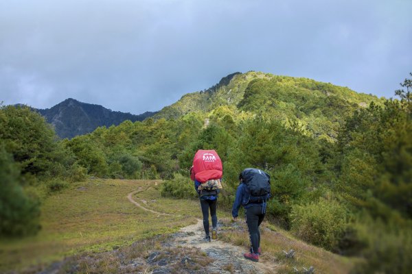 大小劍-油婆蘭全紀錄2674222