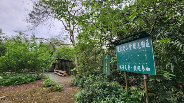 田中麒麟山連走田中森林公園北天宮O繞+ 田中大小劍逆走2756727