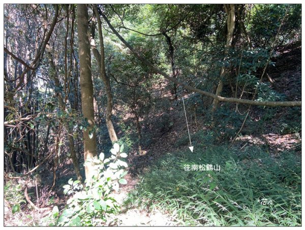 南松鶴山～八仙山 (台中 和平)2926078