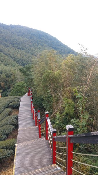 20241026程淨山林7-雲嘉抹茶山大尖二尖山JRJ淨山(雲嘉/登山/JRJ淨山)2637304