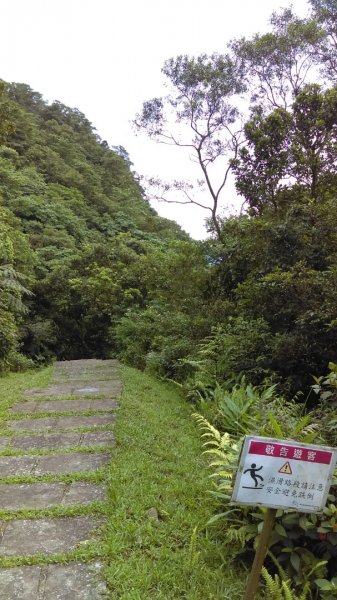 【東北角生態步道尋寶石】 桃源谷步道大溪線 3-2963445