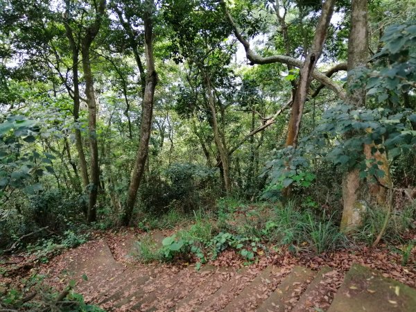 八卦山山脈最高峰。編號48小百岳 橫山754290