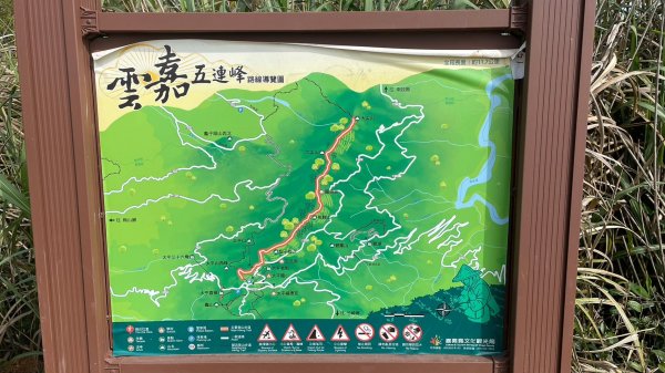 230416-小百岳#057 梨子腳山。18禁-竟能在茶樹上偶遇黑線黃尺蛾。美美兔O繞走成8字。2117327