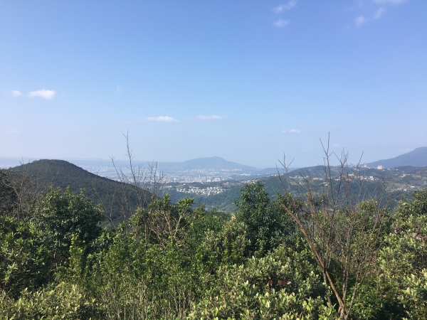 [台北市林/內湖] 大崙頭尾山92427