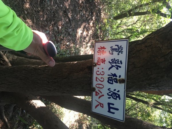 福源山步道、石雲森林步道2358013
