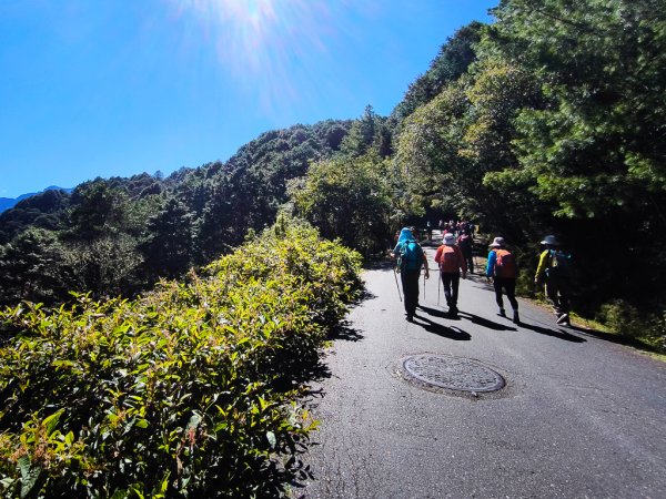 2025-08-24 塔塔加-大鐵杉-鹿林山莊-鹿林前山-鹿林山-黑森林-玉山登山口-上東埔2869076