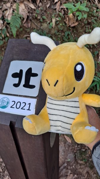 台北大縱走第一段1249145