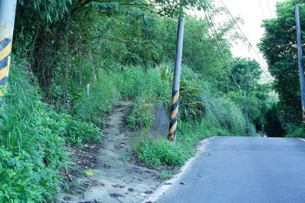 新竹 竹東 柯子湖山、尖山2613894