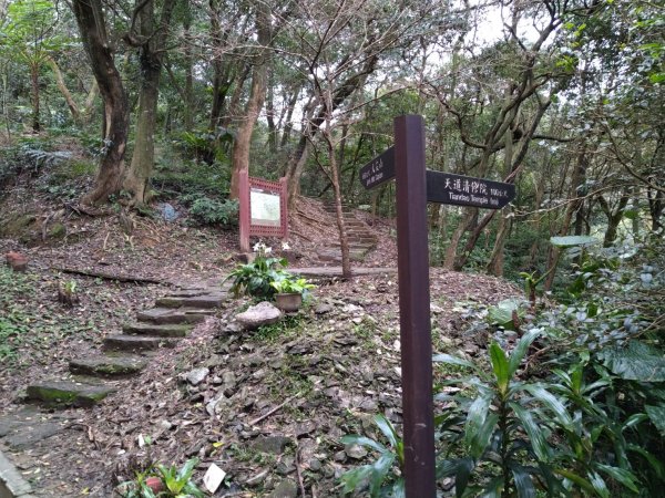 【小百岳12】大尖山完成-81234887