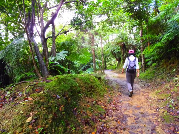 三貂嶺雨後瀑布行353422