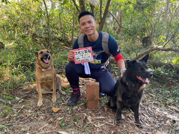風櫃斗.牛稠坑.二坪山古道【遙知不是雪，為有暗香來】2703852