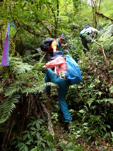 桃園復興區 低陸山 (鐵立庫山)157469