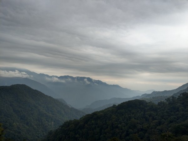 大雪山小神木步道+環站步道914514
