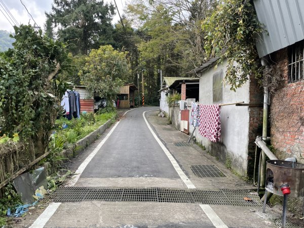 原始密林-向天湖山與光天高山11103151643721