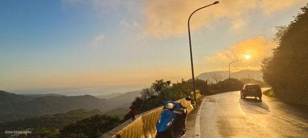追花是簡單的快樂，賞花是恬淡的幸褔 3/2&73008755