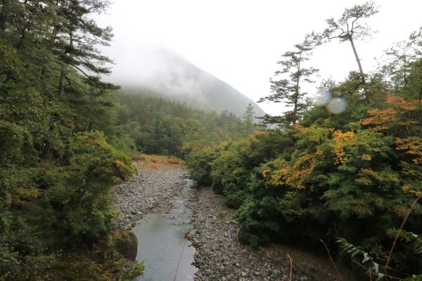 桃山瀑布步道拍鳥賞景行719119