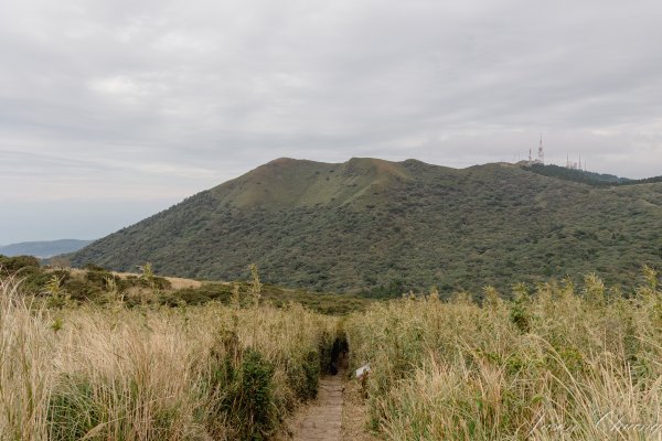 [台北]大屯山2693395