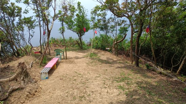 2025-06-21_國旗嶺步道接大武崙山稜線2817041