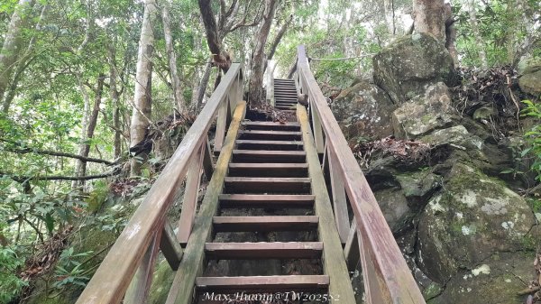 《台中》優美稜線｜橫嶺山自然步道（大雪山社區南登山口）202505312800226