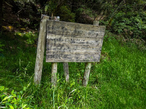 2025-05-17 羅葉尾溪秘境2792406