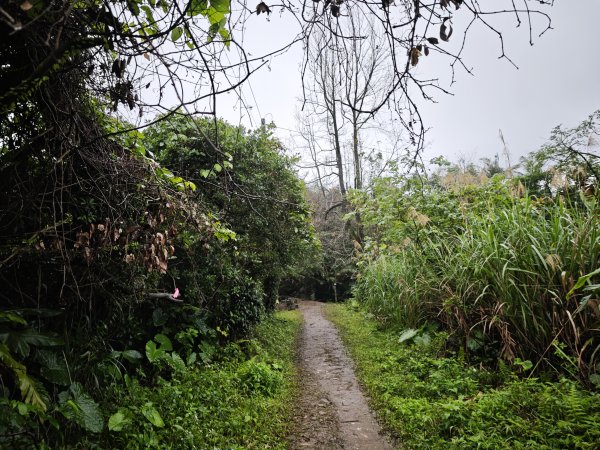 2026_0131 獅球嶺中央砲台2997611