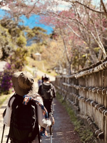 20260214 小百岳藤枝山3003003