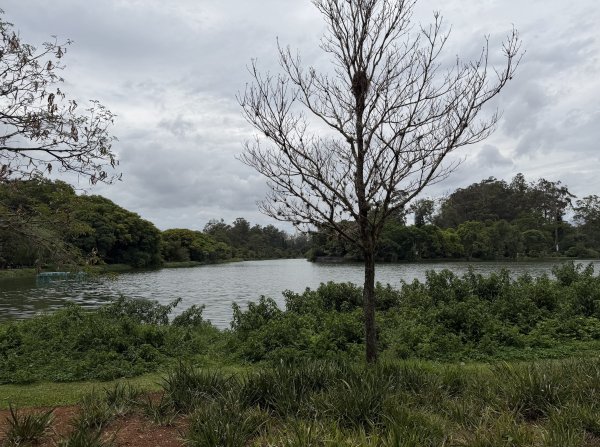 [紐約馬之行-69] 2025_1116 伊比拉布埃拉公園-下2955168